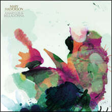 Mary Halvorson (메리 할버슨) - Amaryllis &amp; Belladonna [2LP]