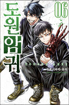 도원암귀 6