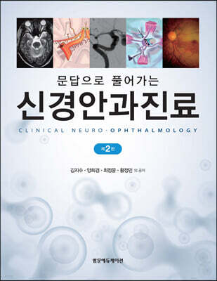 문답으로 풀어가는 신경안과진료