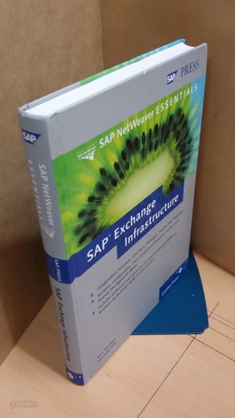 Sap Exchange Infrastructure