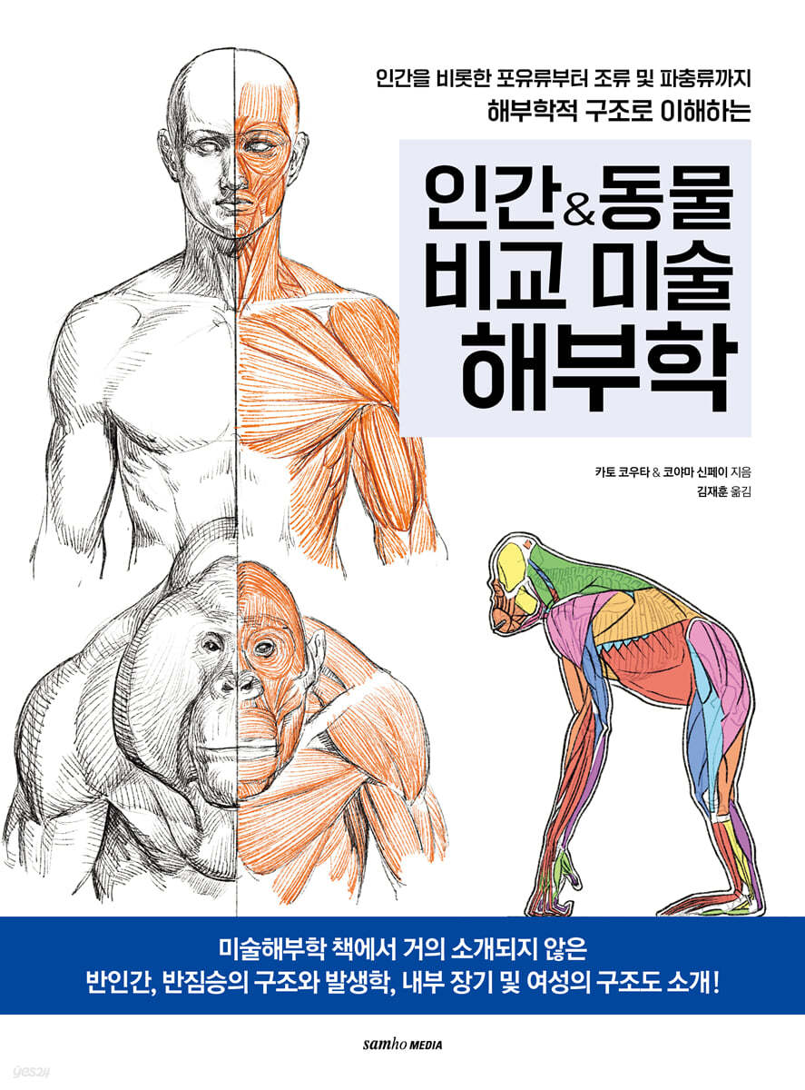 인간&amp;동물 비교 미술해부학