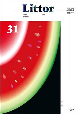 릿터 31호