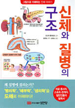 신체와 질병의 구조
