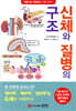 신체와 질병의 구조