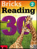 Bricks Reading 30 2