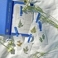 LITTLE GREEN THINGS 압화 북마크 책갈피