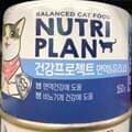 프로 뉴트리플랜 면역과 유리너리 반려묘 습식 사료 160g