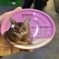 프로 노브랜드 고양이 습식 캔 닭연어 160g 애묘 사료
