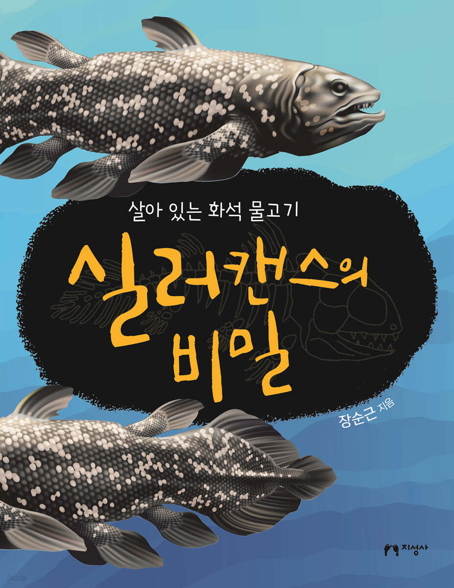 실러캔스의 비밀 