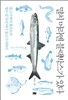 멸치 머리엔 블랙박스가 있다