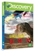 대륙의 이동과 빙하기 (1DISC)