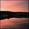 Cassandra Jenkins - (An Overview On) An Overview On Phenomenal Nature (Vinyl LP)