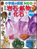 岩石.鑛物.化石 新版