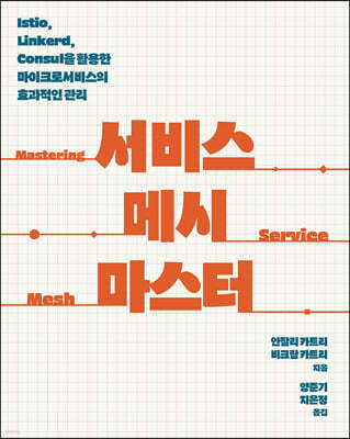서비스 메시 마스터