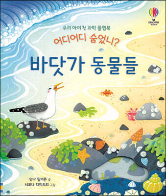 어디어디 숨었니? 바닷가 동물들