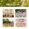 이달의 소녀 (LOONA) - LOONA Summer Special Mini Album : Flip That [버전 4종 중 1종 랜덤 발송]