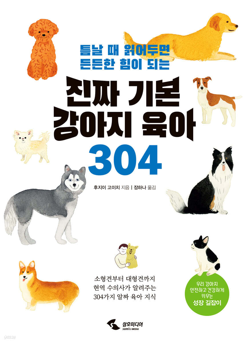 진짜 기본 강아지 육아 304 