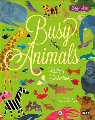 동물의 세계 Busy Animals