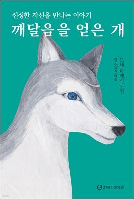 깨달음을 얻은 개