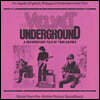 벨벳 언더그라운드 다큐멘터리 영화음악 (The Velvet Underground: A Documentary Film OST) [2LP]