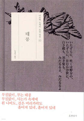 태풍