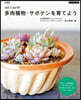 多肉植物.サボテンを育てよう 新裝版