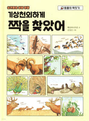 기상천외하게 짝을 찾았어