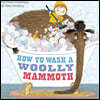 How to Wash a Woolly Mammoth