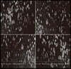 Ryuichi Sakamoto (류이치 사카모토) - The Best of 'Playing the Orchestra 2014'