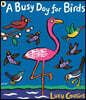 A Busy Day for Birds