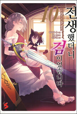 전생했더니 검이었습니다 10권