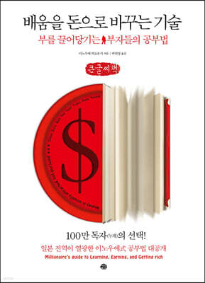 배움을 돈으로 바꾸는 기술 (큰글씨책)