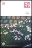 매일성경[개역개정] 2022년 7-8월호(히브리서, 시편 87-89편, 레위기 18-27장, 데살로니가전후서)