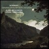 Alina Ibragimova / Cedric Tiberghien 슈베르트: 바이올린과 피아노를 위한 작품 전곡집 - 알리나 이브라기모바 (Schubert: Complete works for violin and piano)
