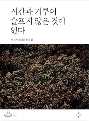 시간과 겨루어 슬프지 않은 것이 없다