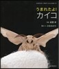 うまれたよ!カイコ