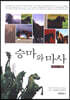 승마와 마사