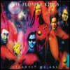 The Flower Kings (플라워 킹스) - Stardust We Are [2CD+3LP]