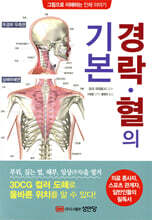 경락·혈의 기본