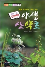 야생 산약초