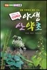 야생 산약초