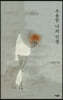 조용한 나의 인생