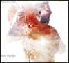 Peter Hudler 첼로로 연주한 지미 헨드릭스와 드뷔시, 보케리니 (Cello On Fire)