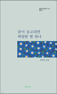 꿈이 응고되면 쩌렁한 별 하나