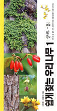 쉽게 찾는 우리 나무 1