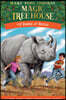 Rhinos at Recess