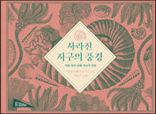 사라진 지구의 풍경
