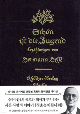 초판본 청춘은 아름다워 (블랙벨벳 에디션)