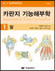 카판지 기능해부학 1 팔