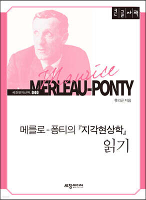 메를로-퐁티의 『지각현상학』 읽기 (큰글자책)